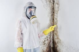 Best Forensic Mold Investigation  in Frankfort, KY